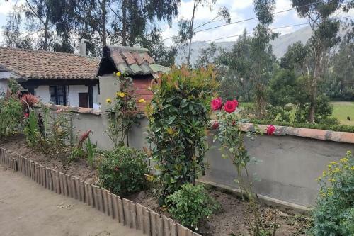 Apartamento Casa de Campo Andina Con Varias Amenidades