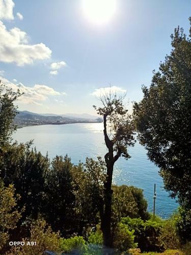 Villa D'albertis