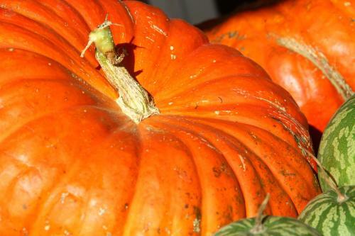 Bed & Breakfast Maison D'h�tes Lassaubatju