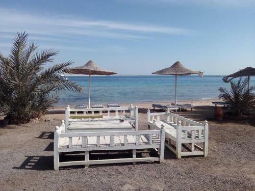 Apartman Ivana