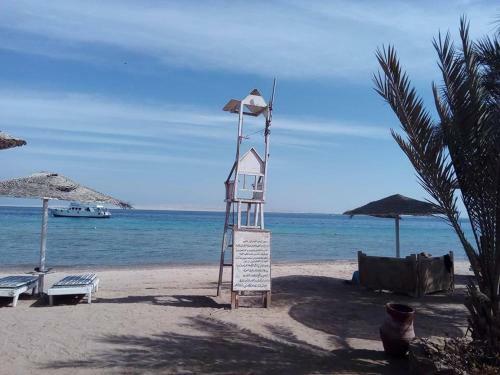 Apartman Ivana