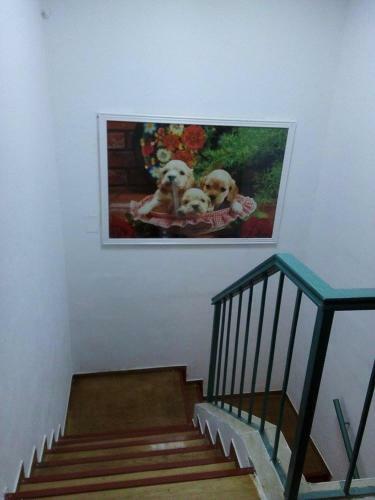 Villa Vila Aja
