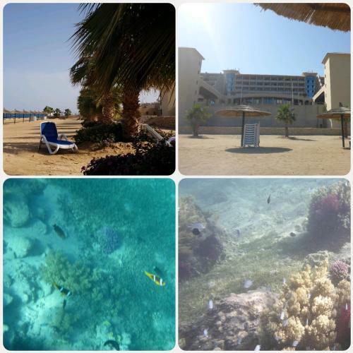 Apartamento The View - Nubian Village (Pool&beach)