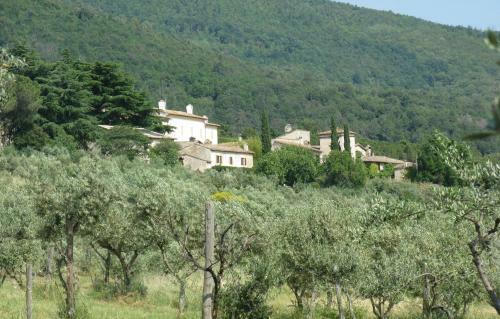 Agroturismo Della Genga B&B La Pieve Suite