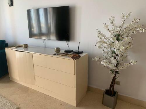 The Cutest Apartment In South Marina