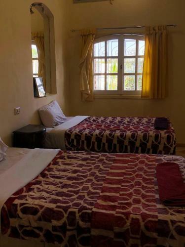 Apartamento Nile Castle