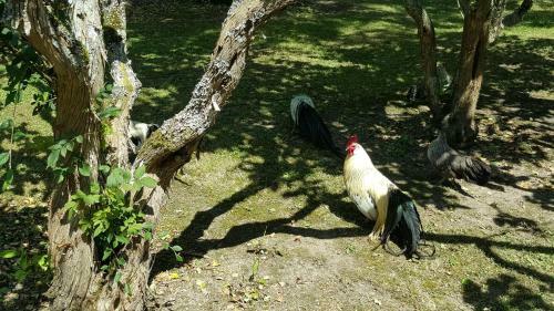 Gite Le Refuge
