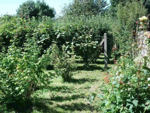 Bed & Breakfast Le Clos Des Tilleuls