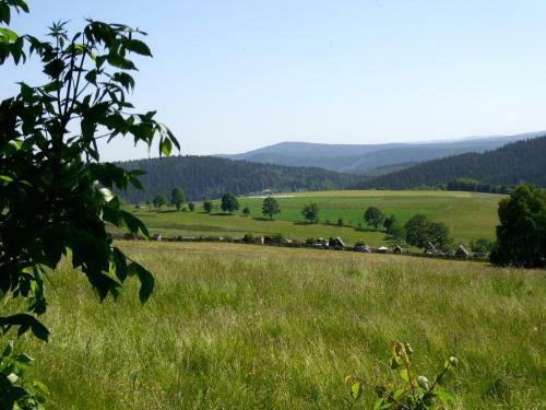 Apartamento Ferienwohnung Ott