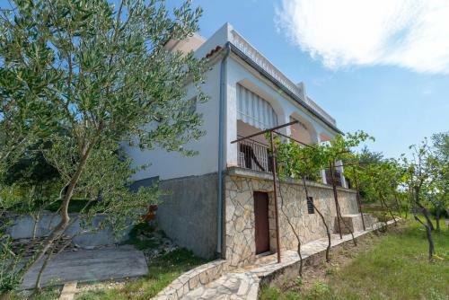 House Ribnica