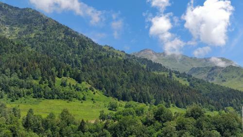 Chalet �toile Des Neiges