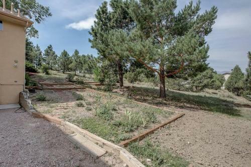 Bright & Cozy Studio Apartment In Colorado Springs