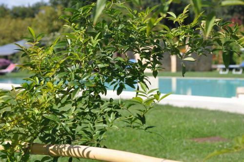 Agroturismo Ca' Matra