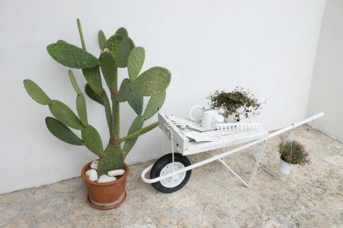 Albachiara Bed & Breakfast