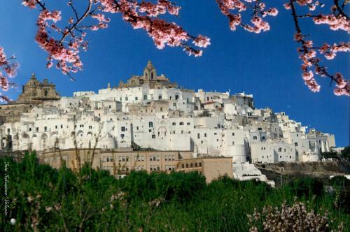 Albachiara Bed & Breakfast