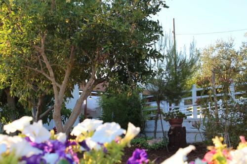 Il Trullo Di Annina