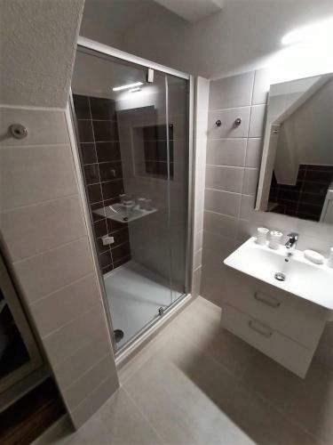 Apartmany U Lva
