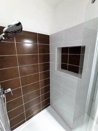 Apartmany U Lva
