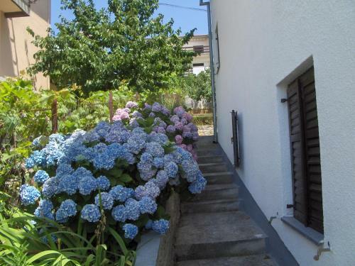 Apartmani Mataija