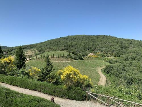 Villa Cavalcanti