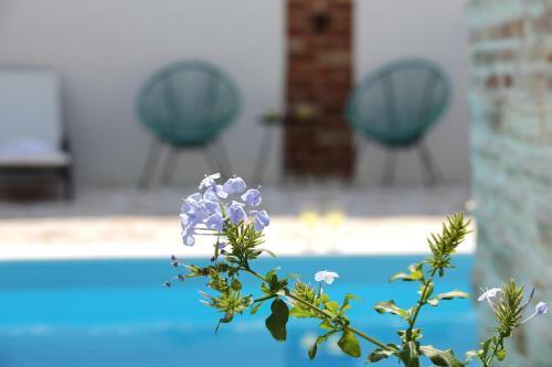 Villa Rural Home Lapis