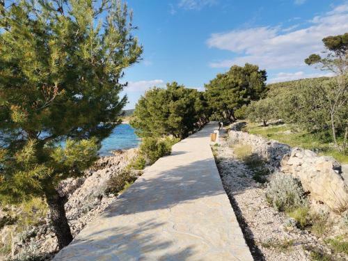 Apartamento Penthouse Ema