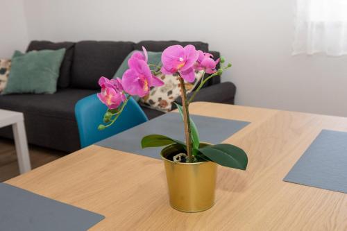 Apartamento Villa Luni