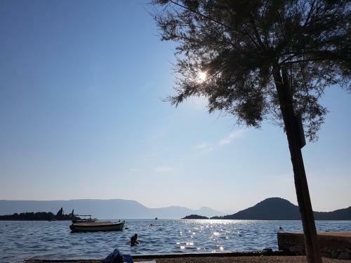 Apartman Ozana