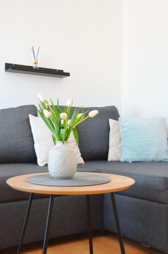 Apartman Mare Blace
