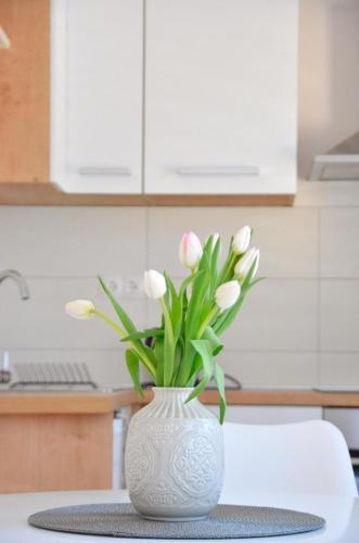 Apartman Mare Blace