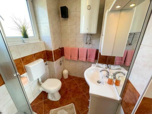 Apartment Nika 1