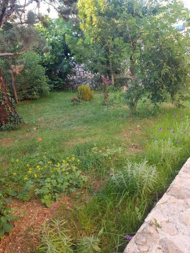 Apartmani Ana