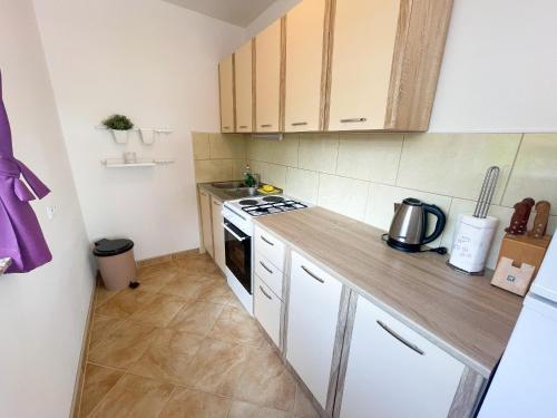 Apartment Nika 2