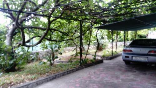 Apartman Neno