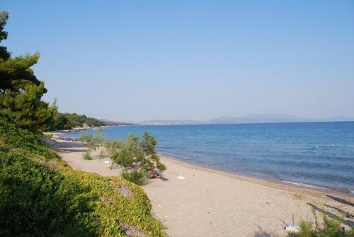 Aparthotel Amari Hotel