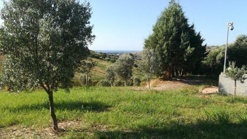 Agroturismo Agriturismo Colle Del Sindaco