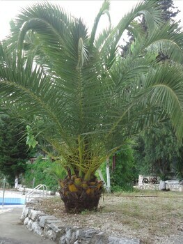 Apartamento Poros Beach