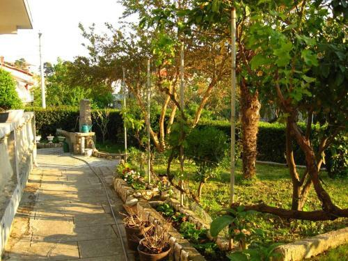 Apartment Palit 14996c