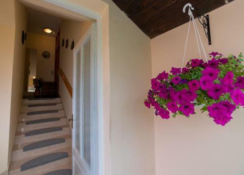 Apartamento 689 Banjol