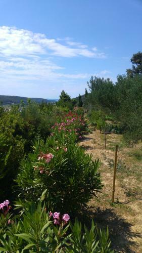Apartment Ammirare Rab