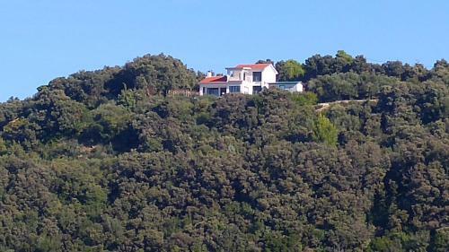 Apartment Ammirare Rab