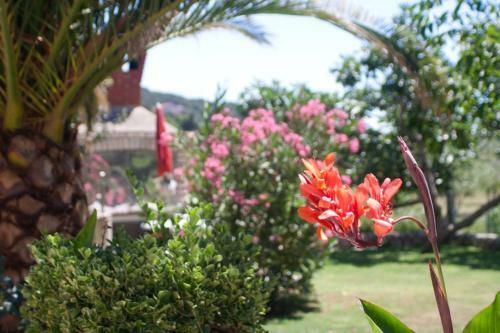 Apartmani Otok Rab