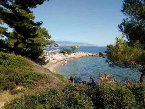 Apartments Suha Punta - Crnic