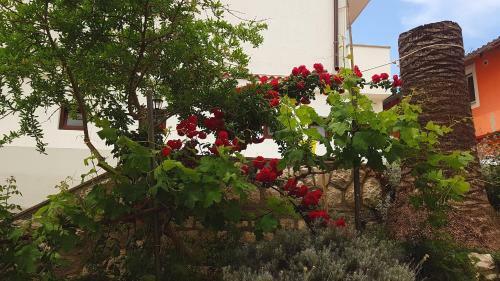 Bed & Breakfast Guest House Galeb2
