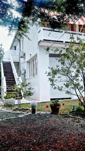 Apartman Luana