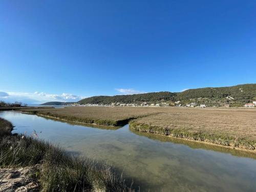 Apartmani Olivera 2