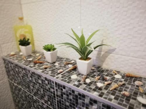 Modern Apartment Near Split & Trogir