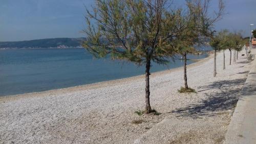 Apartman Jezid?i?