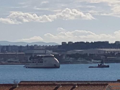 Apartamentos Petrovic K.sucurac
