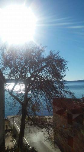Apartments Magli